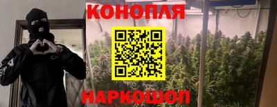 прущие крисы Изобильный